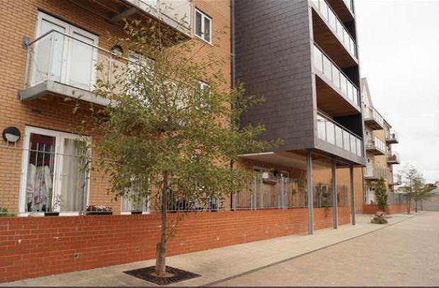 Vetrelax Chelmsford Apartment エクステリア 写真