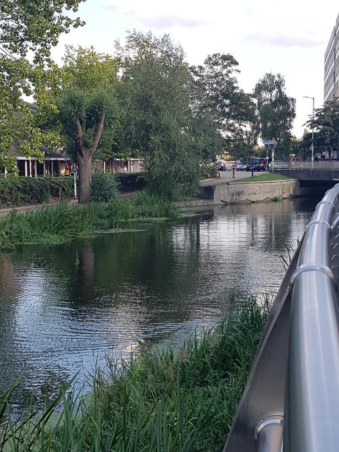 Vetrelax Chelmsford Apartment エクステリア 写真